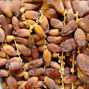 dates